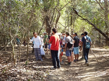 Group tour Komodo Rinca island to see Komodo dragon